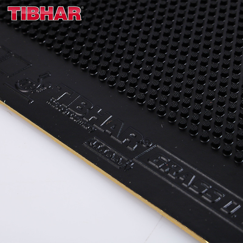 TIBHAR GRASS D.TECS Table Tenn - đánh giá và giá Table Tennis Yasaka