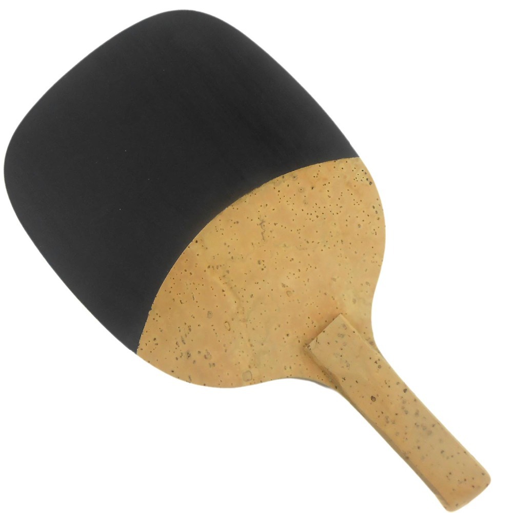 PALIO 8603 Carbon Titanium Tab - đánh giá và giá Table Tennis Forehand Rubber