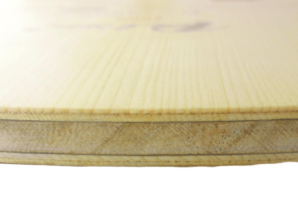 PALIO 8603 Carbon Titanium Tab - đánh giá và giá Table Tennis Forehand Rubber
